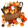 Autumn Harvest Decorartion Set