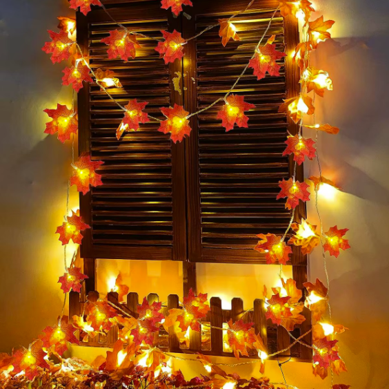 Cozy Autumn String Lights