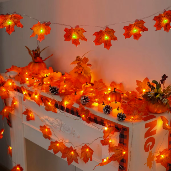 Cozy Autumn String Lights