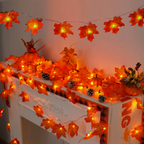 Cozy Autumn String Lights