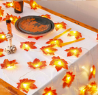 Cozy Autumn String Lights