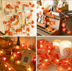 Cozy Autumn String Lights